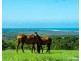 Emerald Mountain View, Tanglewood NSW 2488