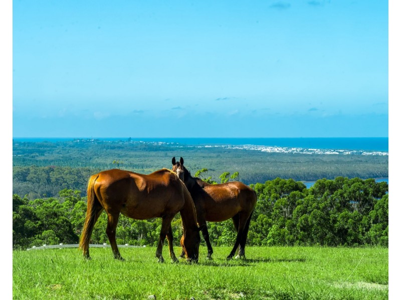 Emerald Mountain View, Tanglewood NSW 2488
