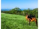 Emerald Mountain View, Tanglewood NSW 2488