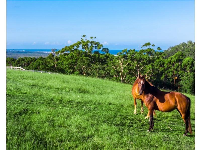 Emerald Mountain View, Tanglewood NSW 2488