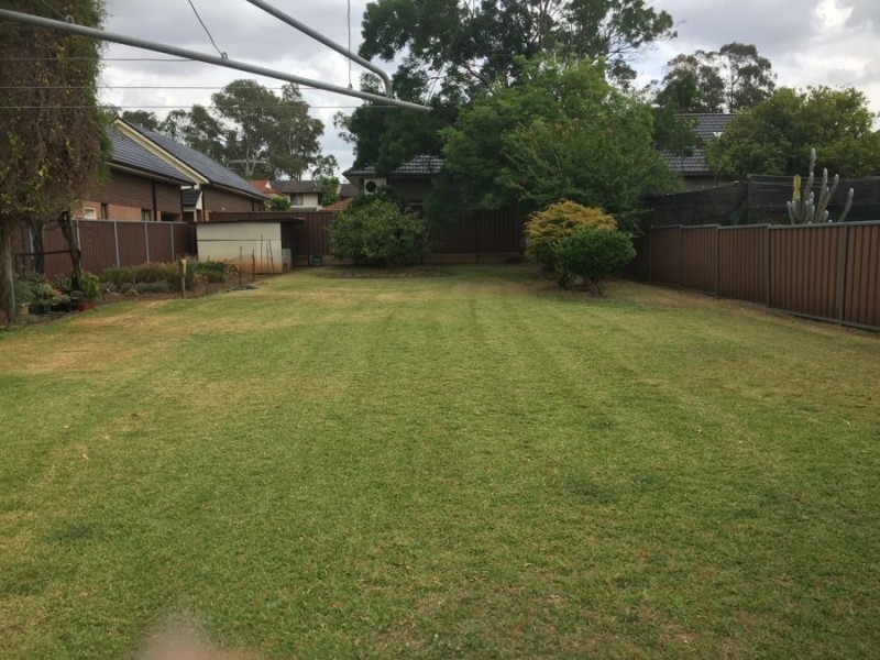 17 WALTER STREET, Kingswood NSW 2747