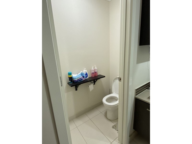 17 Lloyd Street, Werrington NSW 2747