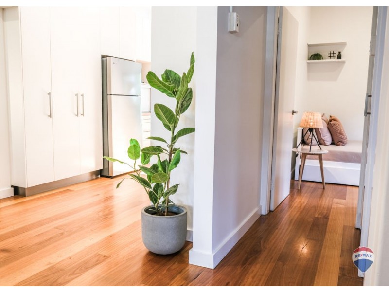 48 Wattle Street, Haberfield NSW 2045