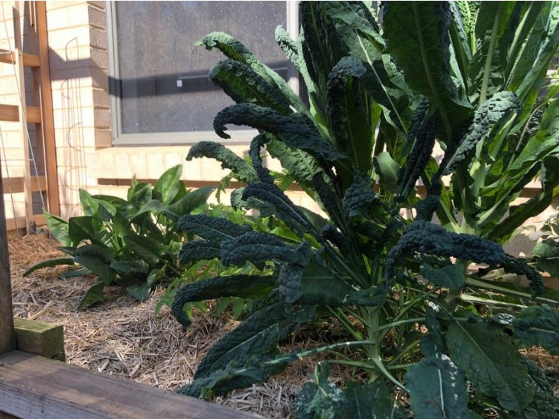 32 FAIRWATER DRIVE, Gwandalan NSW 2259