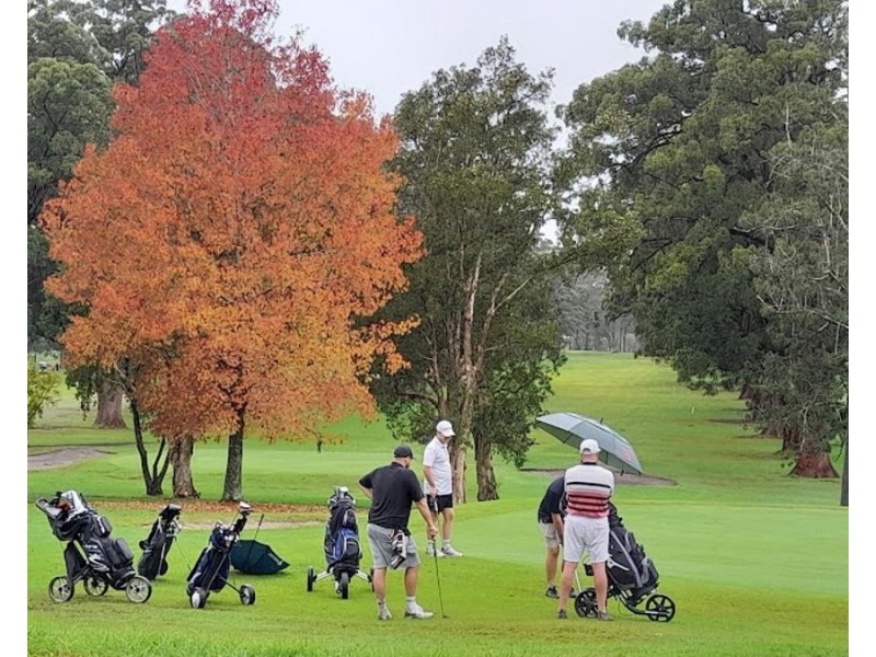 Raymond Terrace NSW 2324