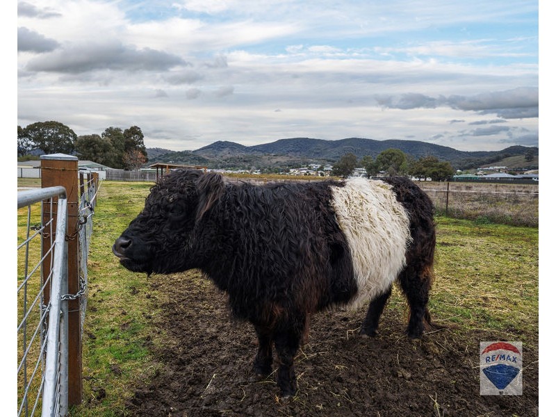 239 Gladstone Street, Mudgee NSW 2850