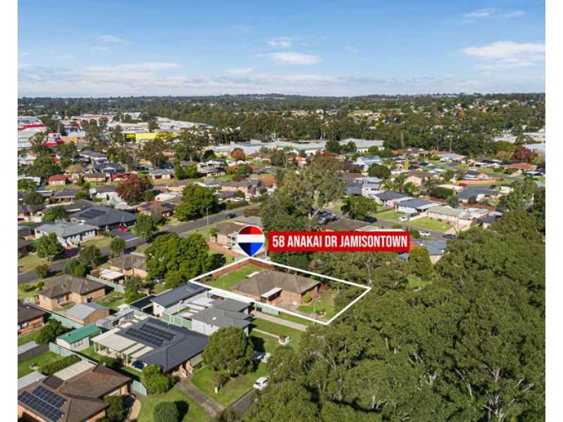 58 ANAKAI DRIVE, Jamisontown NSW 2750