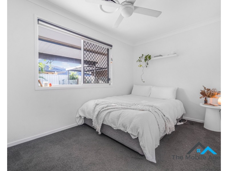 62 Japonica Drive, Palm Beach QLD 4221