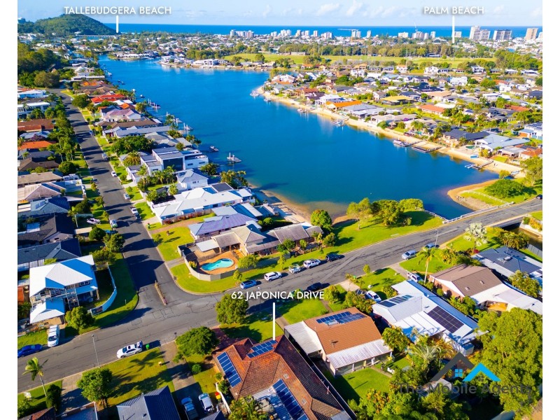 62 Japonica Drive, Palm Beach QLD 4221