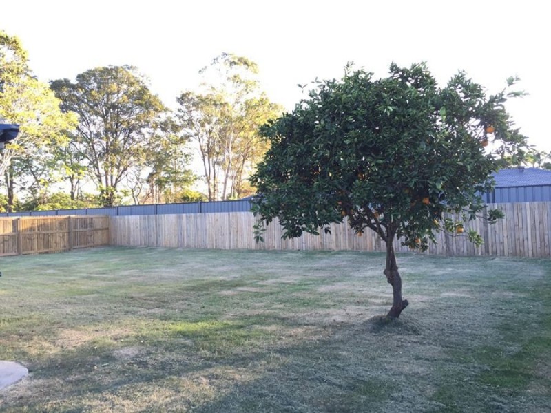 18 Pinelands St, Loganlea QLD 4131