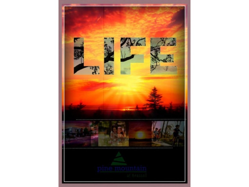 Lot 10 Pine Mountain Estate, Brassall QLD 4305
