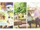 Lot 1 Vassallo Drive, Rosewood Green, Ipswich QLD 4305