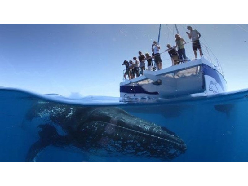 Lot 113 Imperial Circuit, ELI WATERS, Hervey Bay QLD 4655