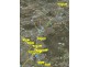 Lot 2 Urban Infill Development, Loganholme QLD 4129