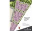 Lot 25 Dusk Place, CRESTMEAD HEIGHTS, Crestmead QLD 4132