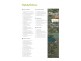Lot 20 Rosella Street, Loganlea QLD 4131