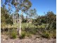 Balgownie Drive, Peregian Springs QLD 4573