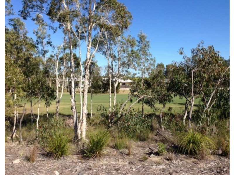Balgownie Drive, Peregian Springs QLD 4573