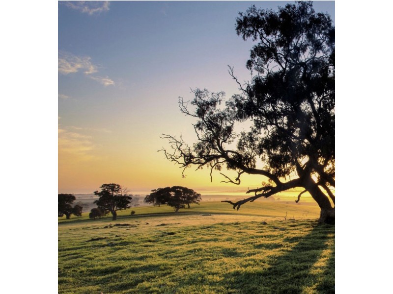 Lot 102 Lemon Myrtle Court, “Horizions North Estate”, Woombye QLD 4559