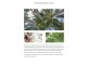Palmwoods QLD 4555