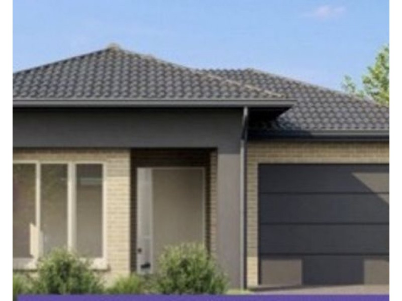 Blacks Beach QLD 4740