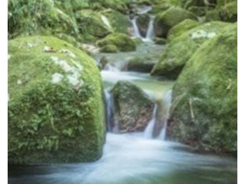 Cooya Beach QLD 4873