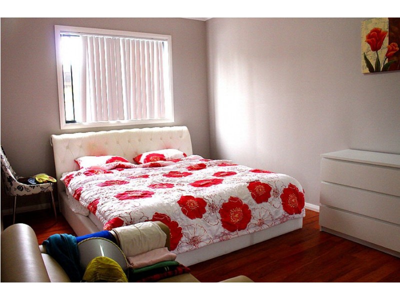 2A Euston Road, Auburn NSW 2144