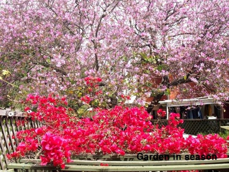 2 James Street, Lidcombe NSW 2141