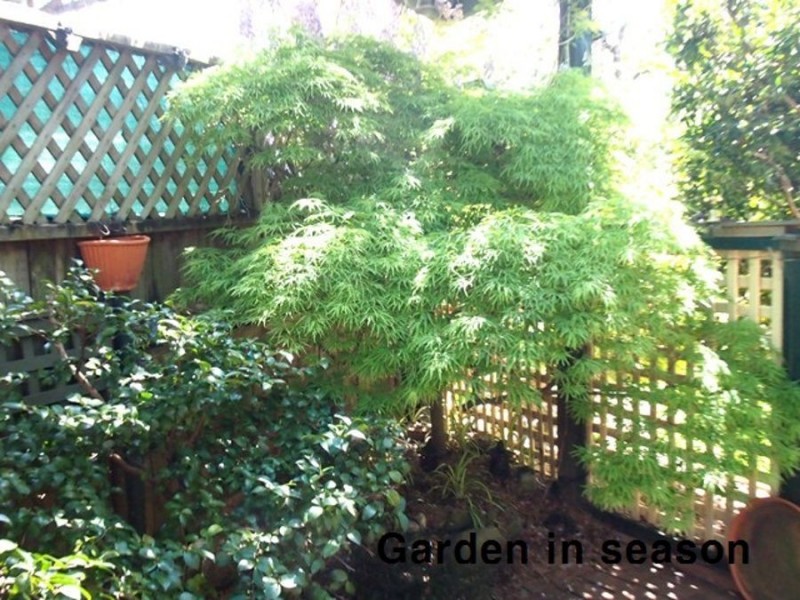 2 James Street, Lidcombe NSW 2141