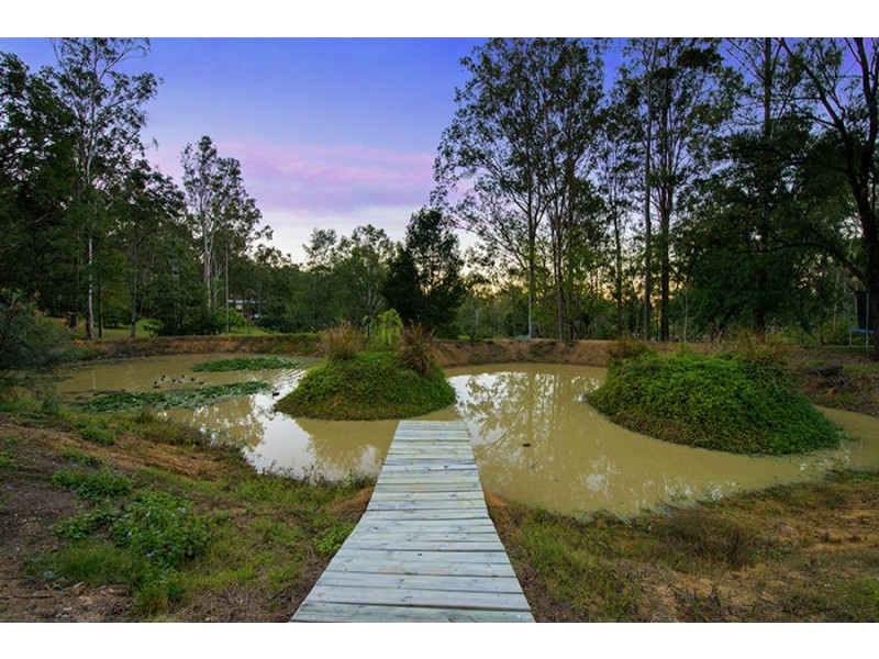 31 Curlew Court, Tamborine QLD 4270