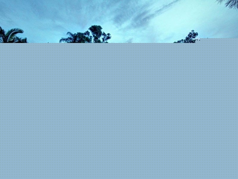 24 Grey Gum Rd, Chambers Flat QLD 4133