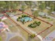 50 Woolshed crt, Jimboomba QLD 4280