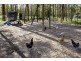 196 Glynton rd, Jimboomba QLD 4280