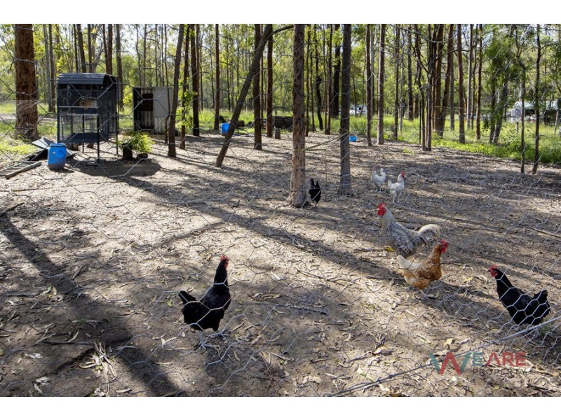 196 Glynton rd, Jimboomba QLD 4280
