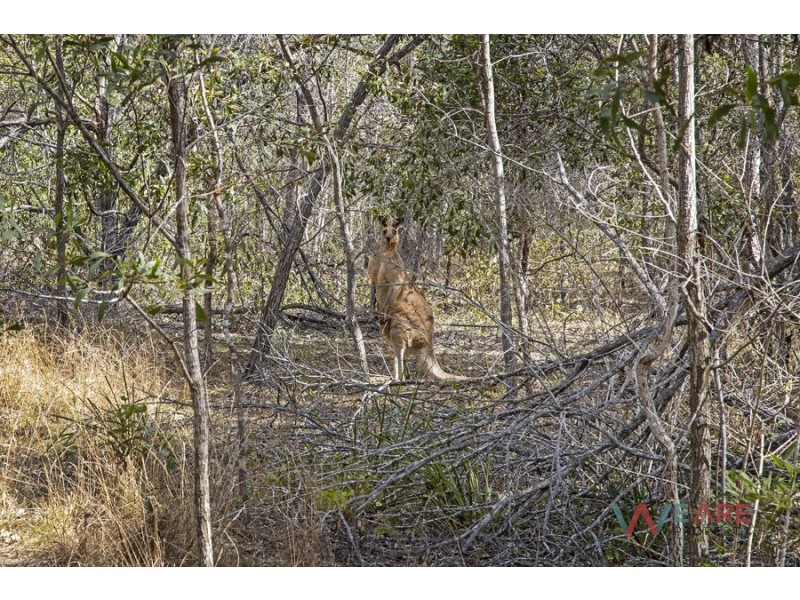 110 Coolibah Rd, Jimboomba QLD 4280