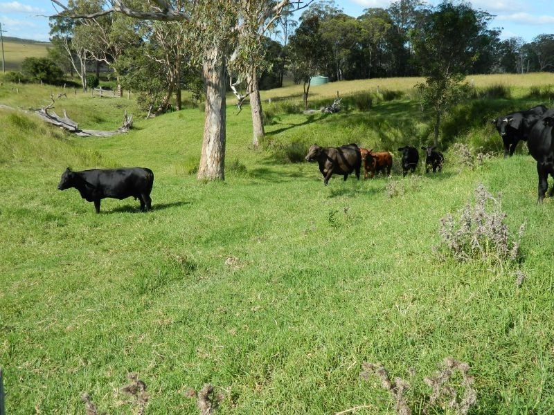 99 Byers Rd, Crows Nest QLD 4355