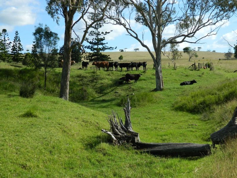 99 Byers Rd, Crows Nest QLD 4355