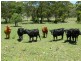 160 Kruger Road, Crows Nest QLD 4355