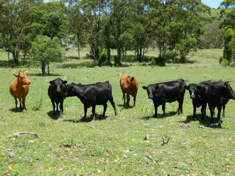 160 Kruger Road, Crows Nest QLD 4355