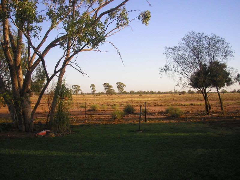 Bollon Mitchell Road, Bollon QLD 4488