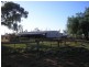 Bollon Mitchell Road, Bollon QLD 4488