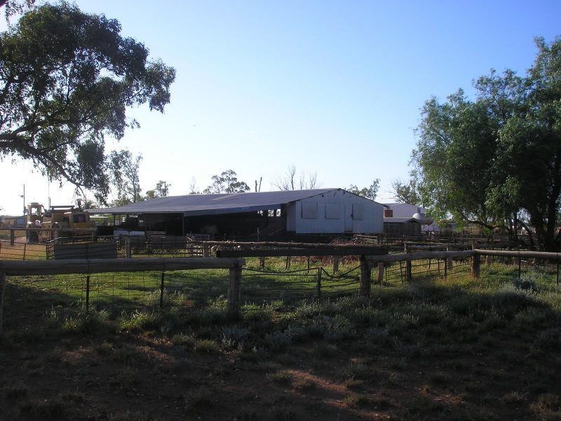 Bollon Mitchell Road, Bollon QLD 4488
