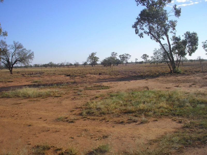 Bollon Mitchell Road, Bollon QLD 4488