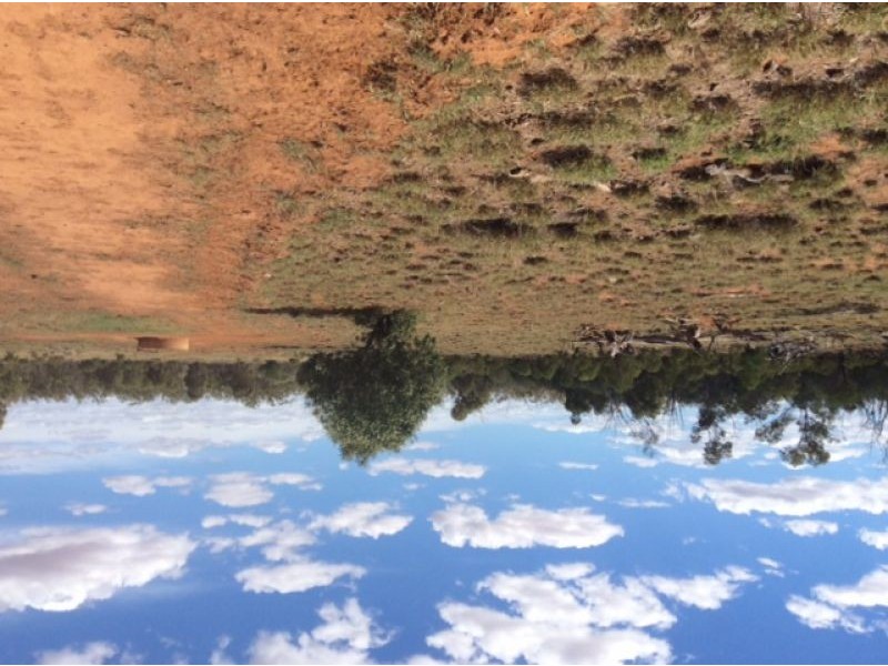 Bollon Mitchell Road, Bollon QLD 4488