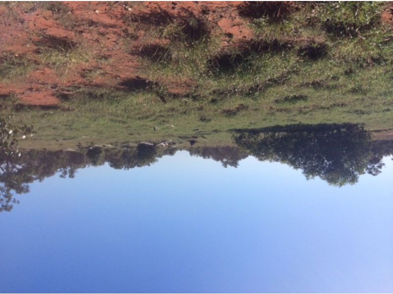 Bollon Mitchell Road, Bollon QLD 4488