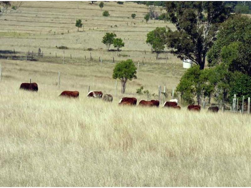 7659 New England Hwy.,, Crows Nest QLD 4355