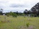 556 Back Creek Rd, Crows Nest QLD 4355