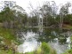 619 Parker Rd. Grapetree., Crows Nest QLD 4355
