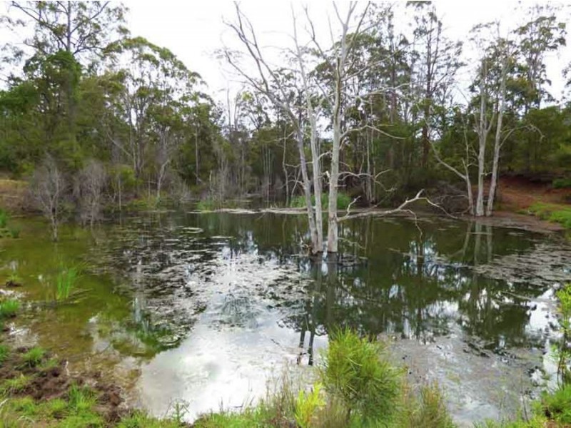 619 Parker Rd. Grapetree., Crows Nest QLD 4355