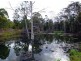 619 Parker Rd. Grapetree., Crows Nest QLD 4355